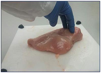 Acceptability of Artificial Intelligence in Poultry Processing and Classification Efficiencies of Different Classification Models in the <mark class="highlighted">Categorisation</mark> of Breast Fillet Myopathies